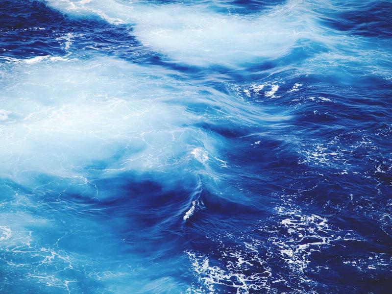 sudoku export puzzle screenshot 4